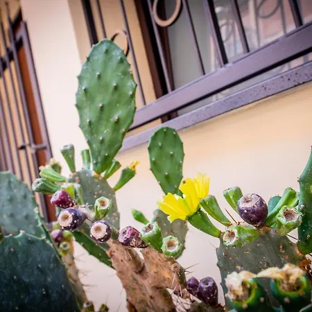 Giuseppe Verdi Luxury Centro קטאניה